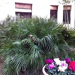 מלון Bahia 3*