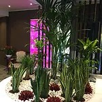 Bahia Hotel 3*