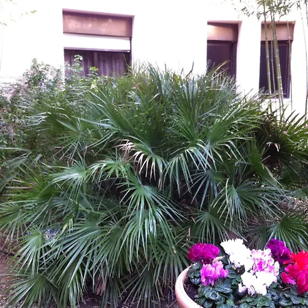 Hotel Bahia 3*